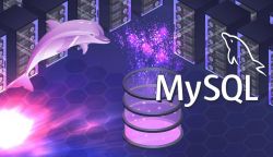 MySQL常用脚本大全