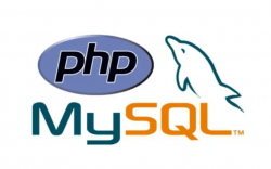 怎么使用PHP查询MySQL并返回数组