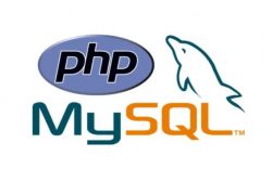 php mysql怎么随机获取几条数据